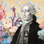 marino Jorge Juan