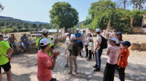 pancarit calvia 2025