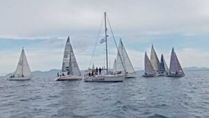 regata alcudiamar projecte home balears