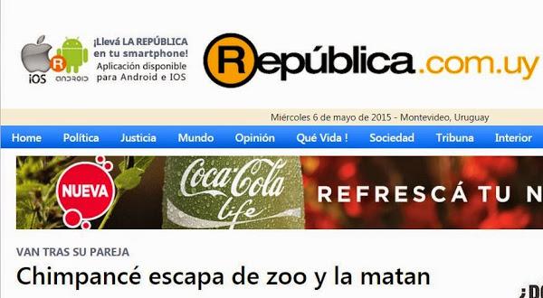 repubica uruguay chimpances sa coma