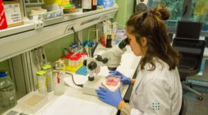 IdISBa Impuesto de Turismo Sostenible talento investigador