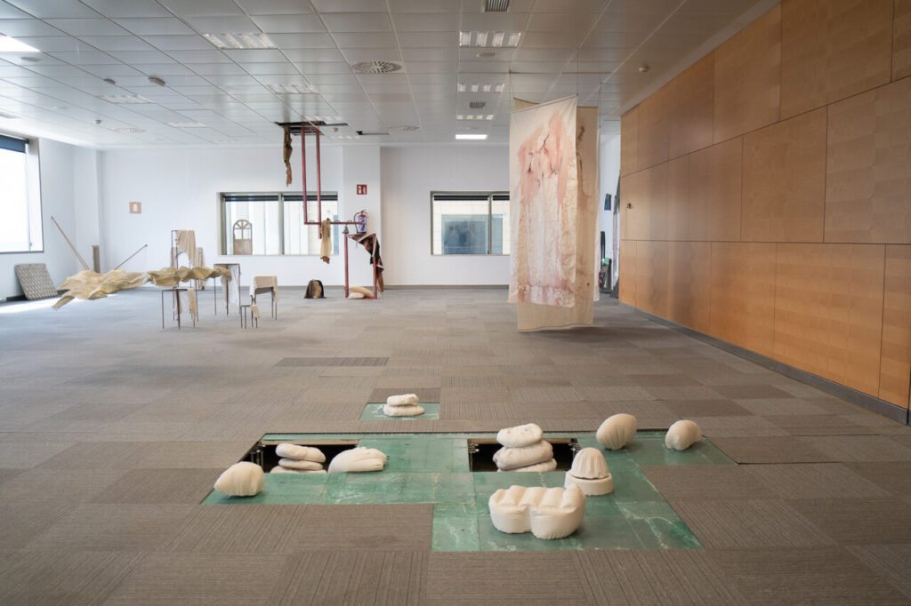 Bienal Internacional ADEMA