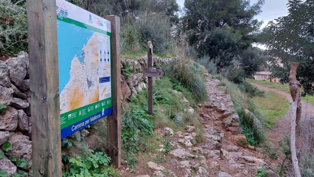Camí de Son Sales