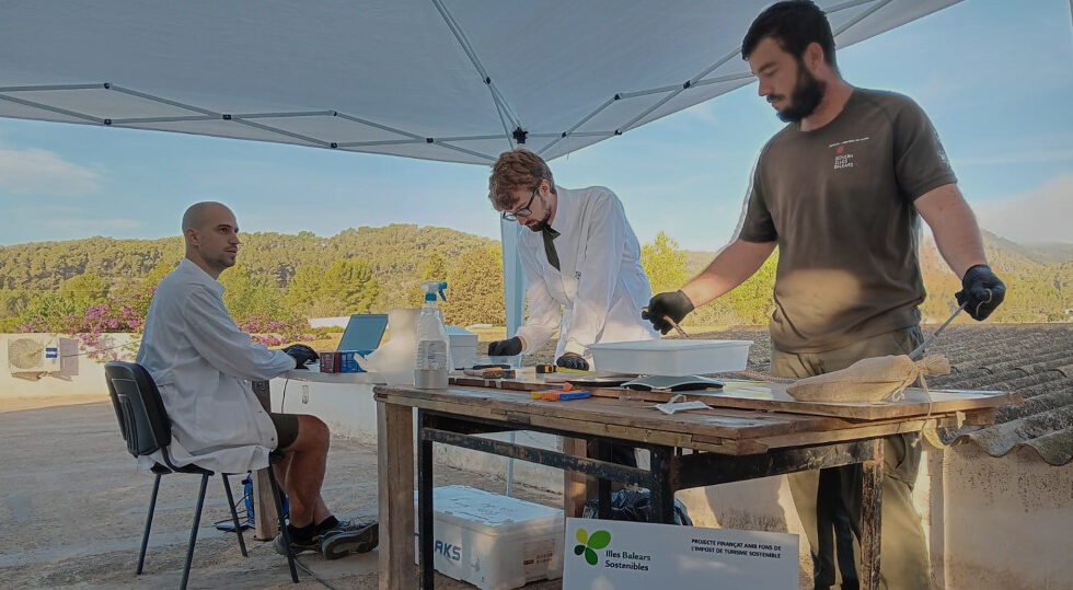 Controlar las especies invasoras en las Pitiusas y para construir un centro de recuperación e interpretación de fauna en Ibiza