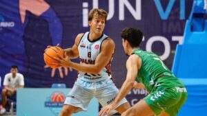 Scariolo Palmer Basket