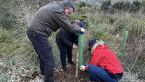El proyecto Bosc Endesa entra en el registro oficial de sumideros de carbono