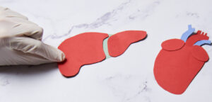 donacion organos infoveritas