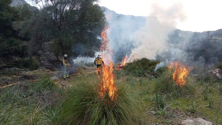 Gran parte de Mallorca, en "riesgo extremo" por incendios forestales este viernes