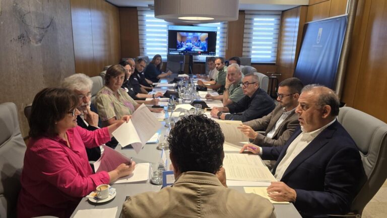 junta calvia