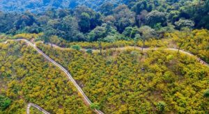 Meli&aacute; logra la neutralidad en carbono en m&aacute;s de 4.000 eventos con "Road to Net Zero Events"