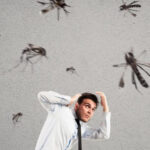 mosquitos infoveritas