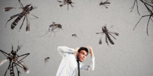 mosquitos infoveritas