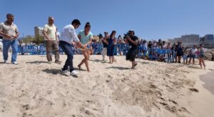 tortuga magaluf junio 2025