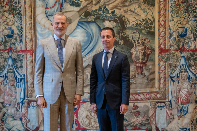 Audiencias Rey Felipe VI