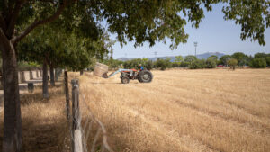 Barrios de Palma Secar de La Real