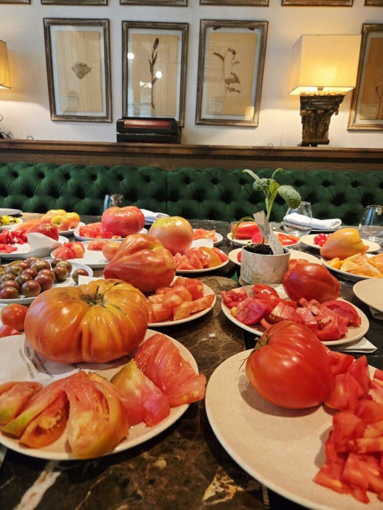 Certamen Internacional del Tomate Mallorca (3)