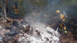 Incendio forestal en en la zona de Crestatx (Sa Pobla) | Fuente: @AgriculturaGOIB en 'X'.