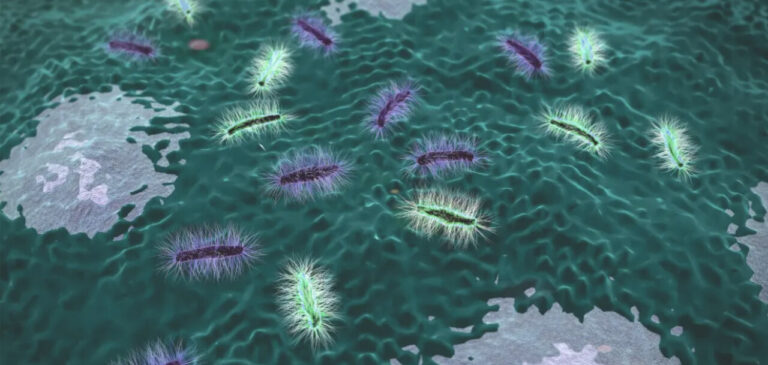 Helicobacter Pylori