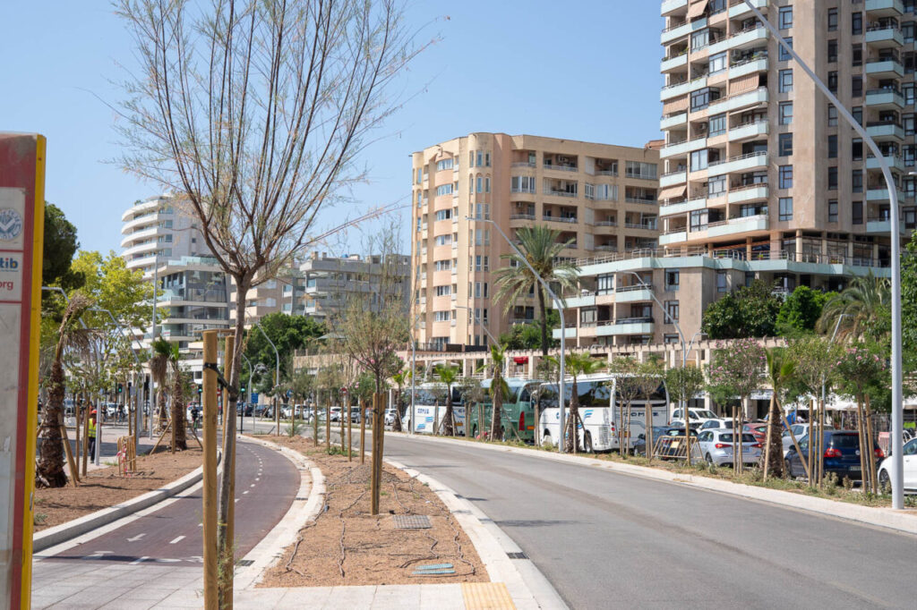 Obras Paseo Maritimo con turistas