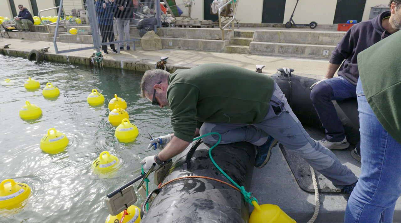 FUNDACIÓ ONA FUTURA - MILLORA ECOSISTEMES MARINS