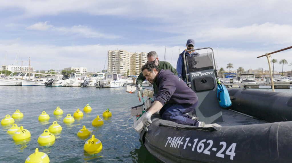 FUNDACIÓ ONA FUTURA - MILLORA ECOSISTEMES MARINS