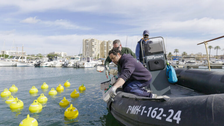 FUNDACIÓ ONA FUTURA - MILLORA ECOSISTEMES MARINS