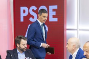 Pedro S&aacute;nchez