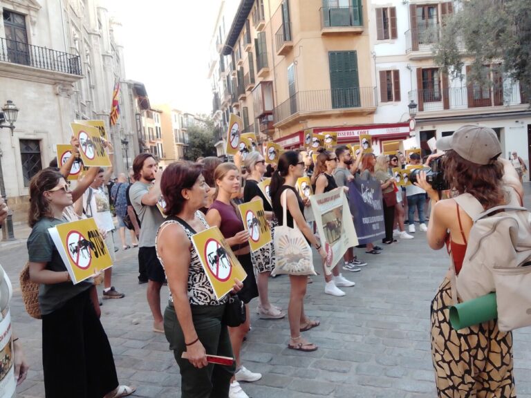 Protesta contra caballos de galeras