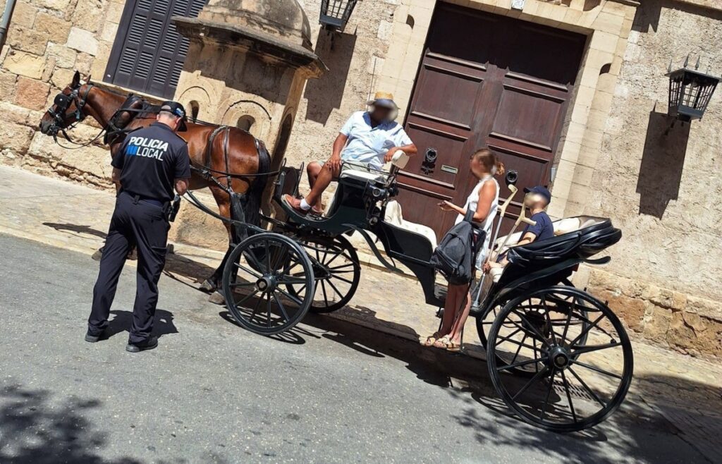 Sanción galera caballos
