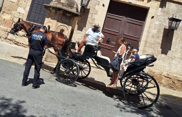 Sanción galera caballos