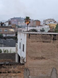 Imagen de una palmera ardiendo en La Vileta Imagen de una palmera ardiendo en La Vileta