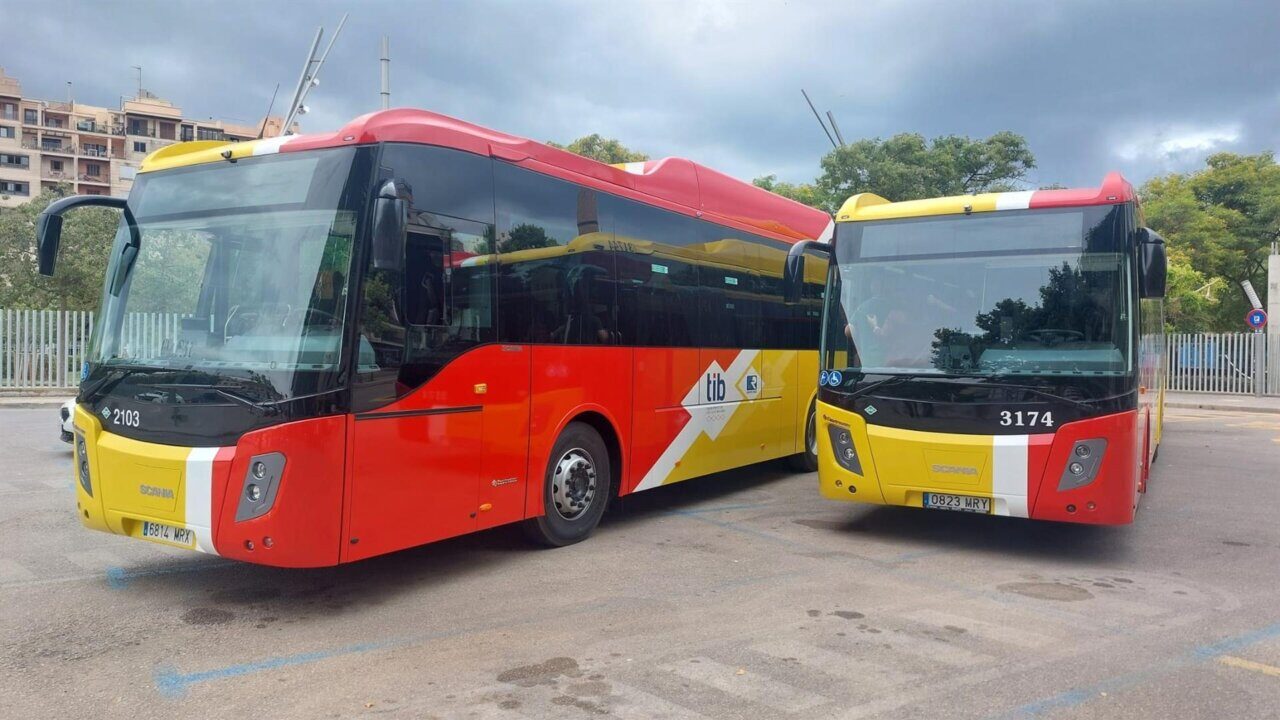 autobuses tib mallorca