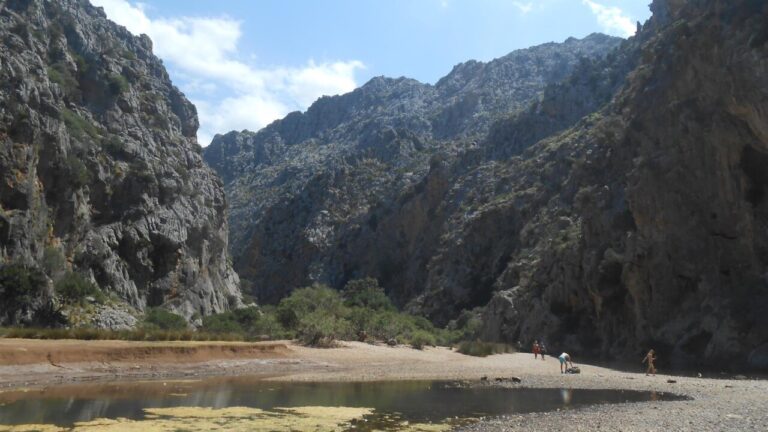 torrent pareis