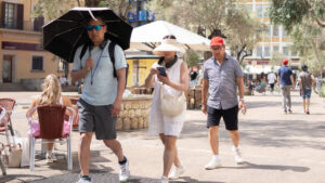 Falsos alquileres y multas inexistentes: las estafas más comunes del verano