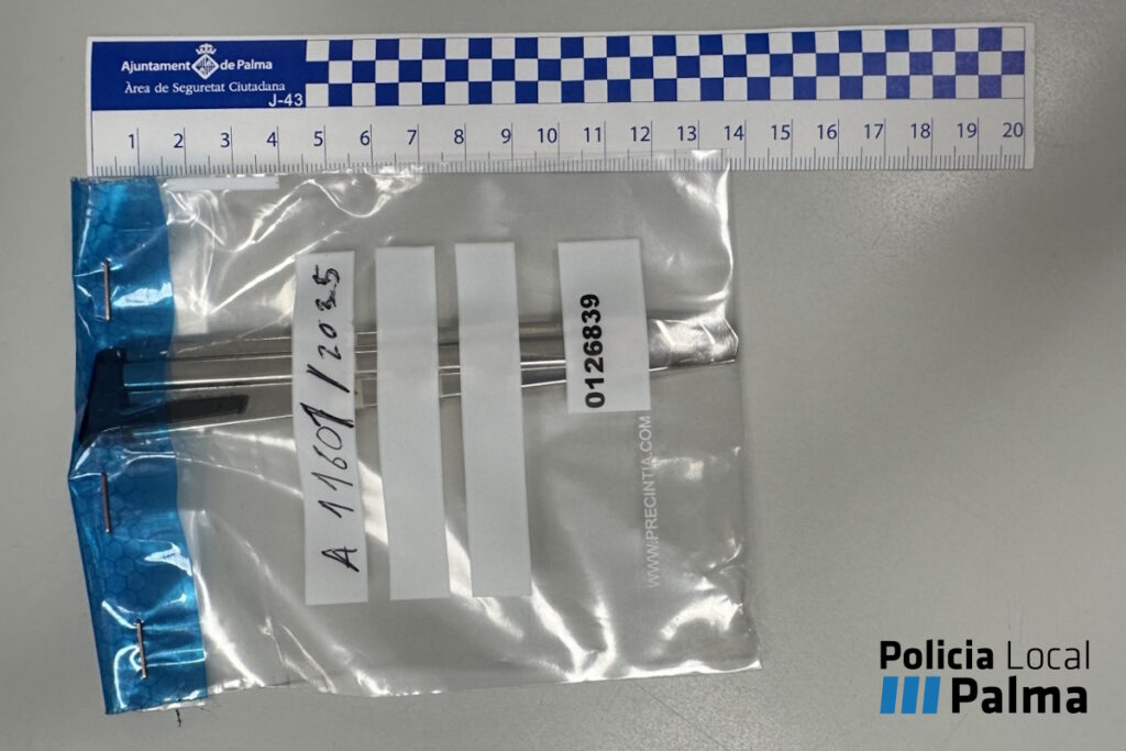 Cuter de Detenida en Palma por intentar agredir con un c&uacute;ter a una agente y da&ntilde;ar un coche policial