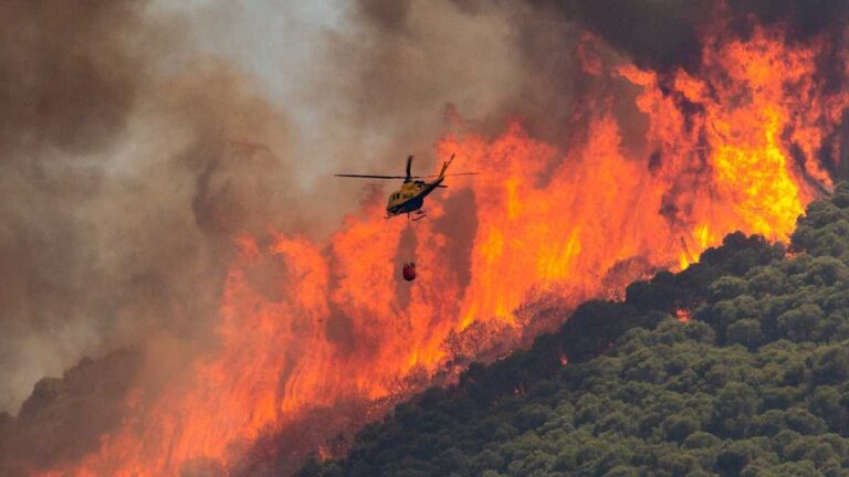 Lucha contra incendio forestal
