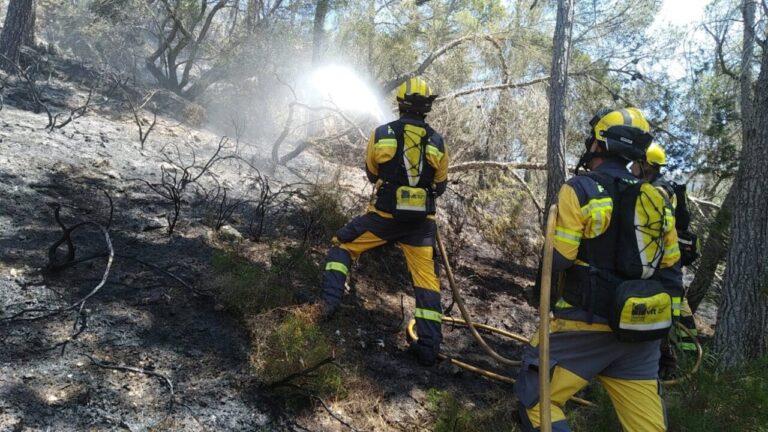 Incendio forestal