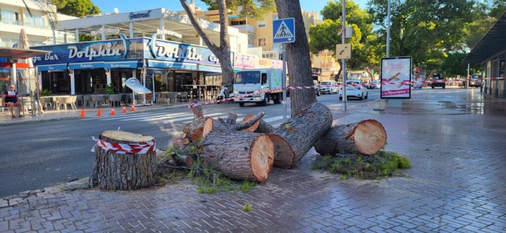 Plan arbolado Calvià