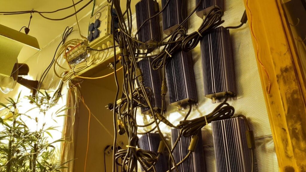 El robo de luz se dispara en España por el boom del cannabis indoor