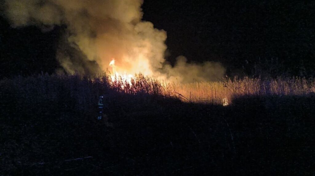 Sucesos. Extiguido el incendio con seis focos en s'Albufera, que se investiga como intencionado