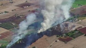 Incendio en el torrente de Sant Miquel, en sa Pobla