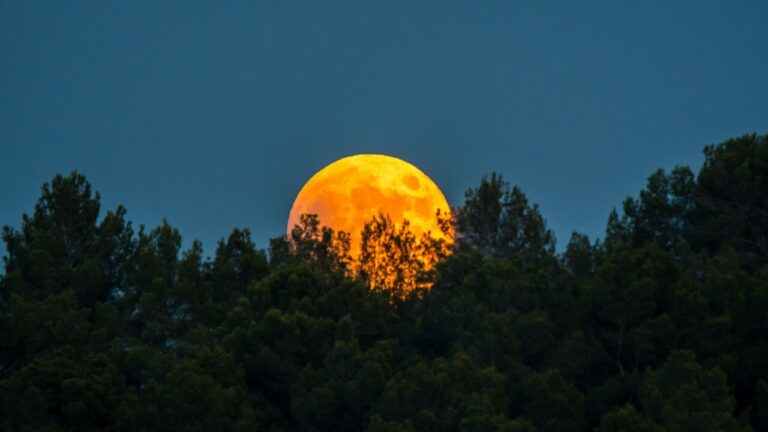 Luna de sangre