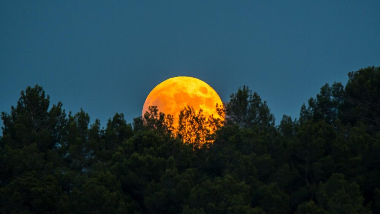 Luna de sangre Luna de sangre