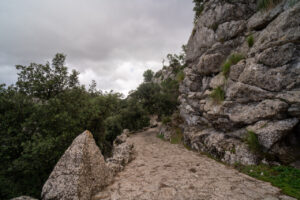 Rutas Mallorca LLuc