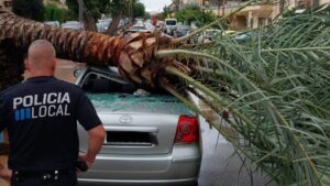 Inundaciones, desprendimientos y árboles caídos: el temporal deja más de 60 incidencias en Baleares