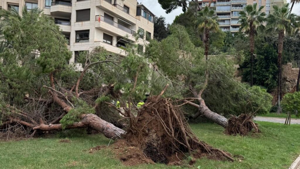 Numerosas incidencias en Mallorca tras la caída de intensas lluvias