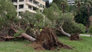 La borrasca Kristin provoca 90 incidentes en Baleares