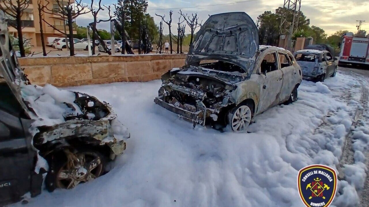 Incendio vehículos en Las Palmeras