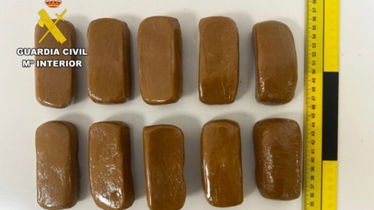 Los diez paquetes de hachís intervenidos en el envío