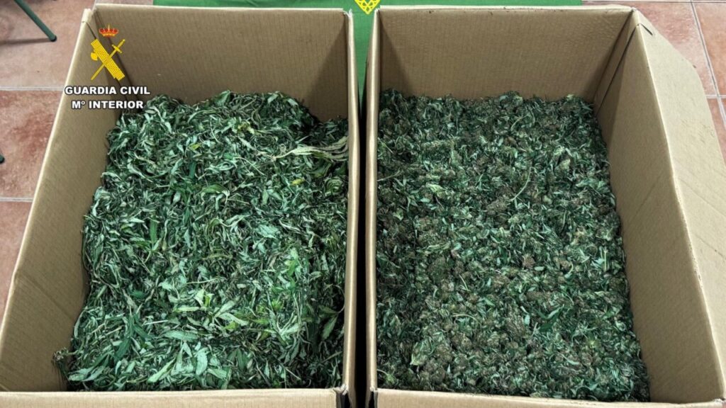 marihuana